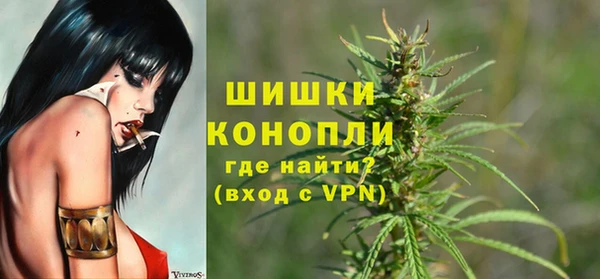 гашик Михайлов