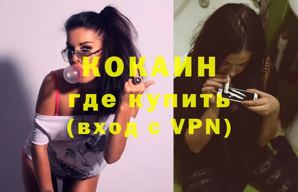 гашик Михайлов