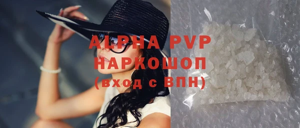 гашик Михайлов