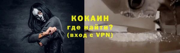 гашик Михайлов