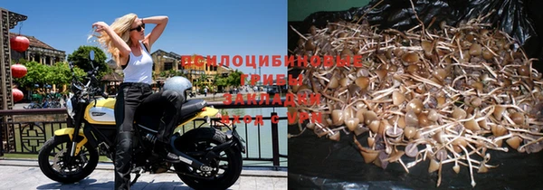прущий лед Михайловск
