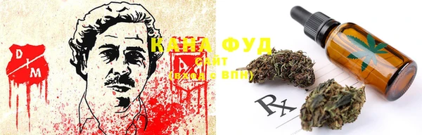 гашик Михайлов