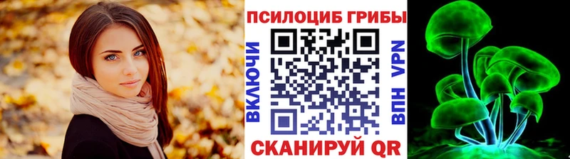 Галлюциногенные грибы Psilocybine cubensis  MEGA как войти  Новохопёрск  продажа наркотиков 